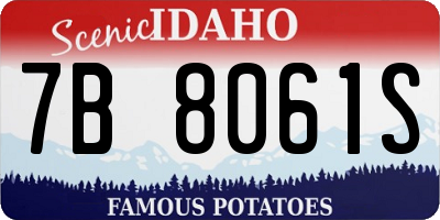 ID license plate 7B8061S