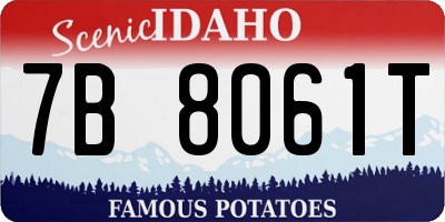 ID license plate 7B8061T