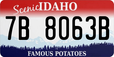 ID license plate 7B8063B