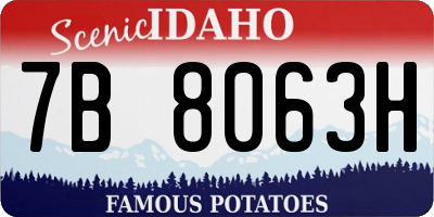 ID license plate 7B8063H
