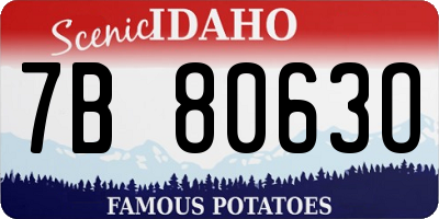 ID license plate 7B8063O