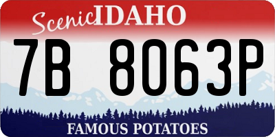 ID license plate 7B8063P