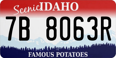 ID license plate 7B8063R