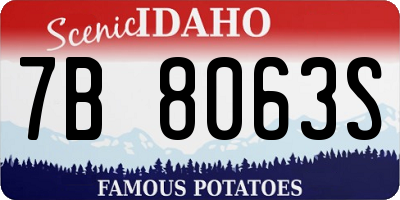 ID license plate 7B8063S