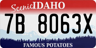 ID license plate 7B8063X