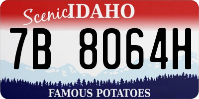 ID license plate 7B8064H
