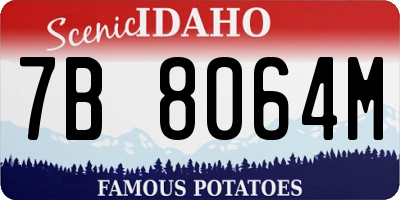 ID license plate 7B8064M