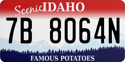ID license plate 7B8064N