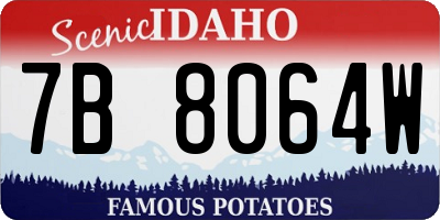 ID license plate 7B8064W