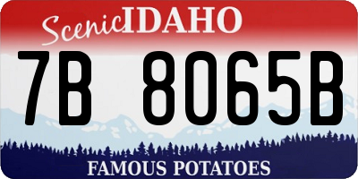 ID license plate 7B8065B