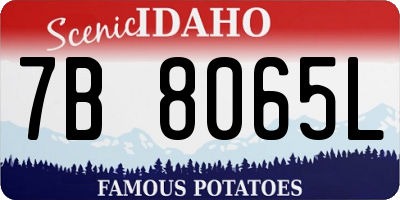 ID license plate 7B8065L