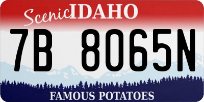 ID license plate 7B8065N