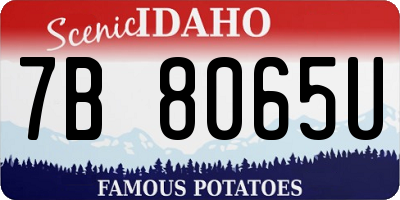 ID license plate 7B8065U