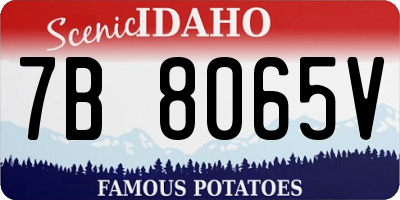 ID license plate 7B8065V