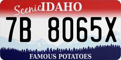 ID license plate 7B8065X