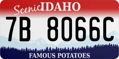 ID license plate 7B8066C