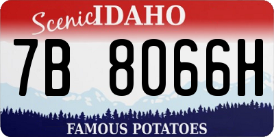 ID license plate 7B8066H