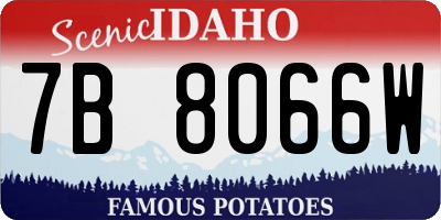 ID license plate 7B8066W