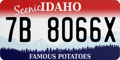 ID license plate 7B8066X