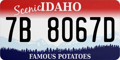 ID license plate 7B8067D