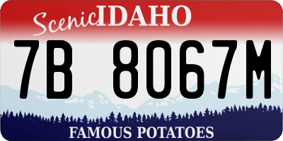 ID license plate 7B8067M