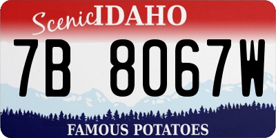 ID license plate 7B8067W