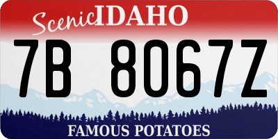 ID license plate 7B8067Z