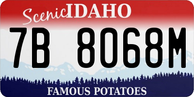 ID license plate 7B8068M