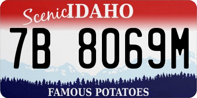 ID license plate 7B8069M