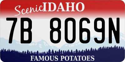 ID license plate 7B8069N