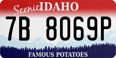 ID license plate 7B8069P