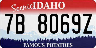 ID license plate 7B8069Z