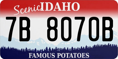 ID license plate 7B8070B