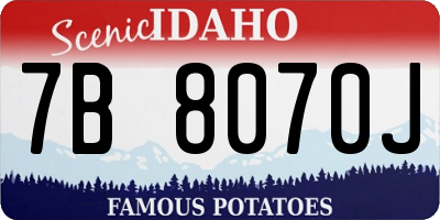 ID license plate 7B8070J