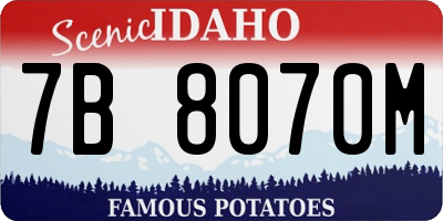 ID license plate 7B8070M
