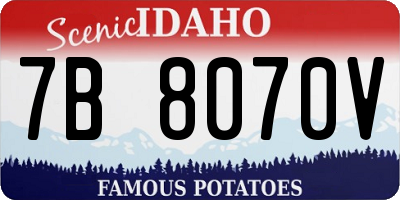 ID license plate 7B8070V