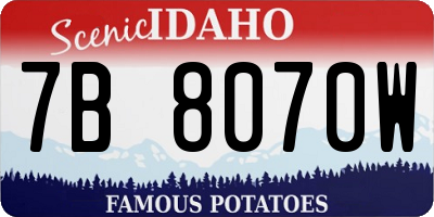 ID license plate 7B8070W