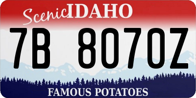 ID license plate 7B8070Z