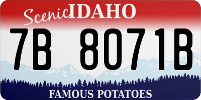 ID license plate 7B8071B