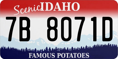 ID license plate 7B8071D