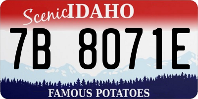 ID license plate 7B8071E