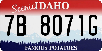 ID license plate 7B8071G