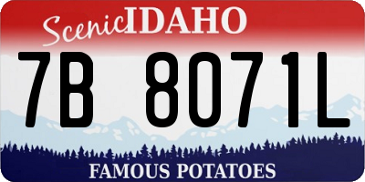 ID license plate 7B8071L
