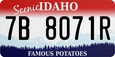ID license plate 7B8071R