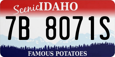 ID license plate 7B8071S