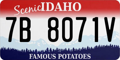 ID license plate 7B8071V