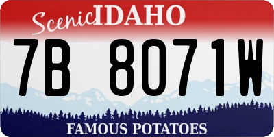 ID license plate 7B8071W