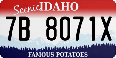 ID license plate 7B8071X