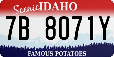 ID license plate 7B8071Y