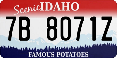 ID license plate 7B8071Z